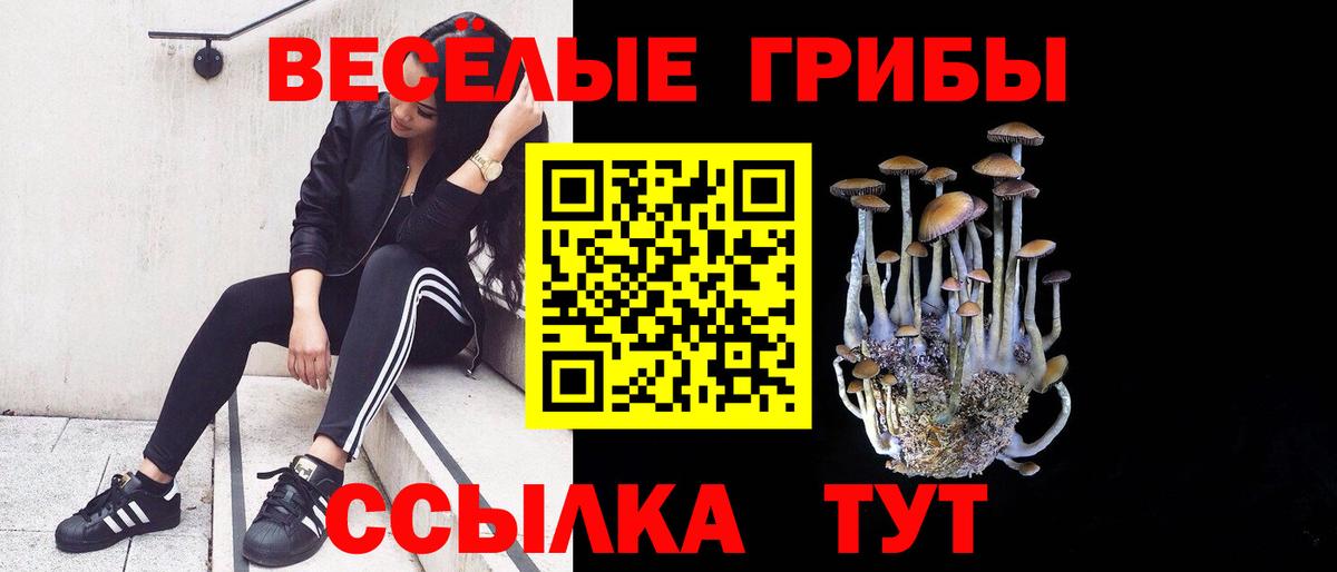 Псилоцибиновые грибы MAGIC MUSHROOMS  Вход с VPN  даркнет сайт  Похвистнево 